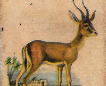 Boites d'allumettes Espagnoles (02)