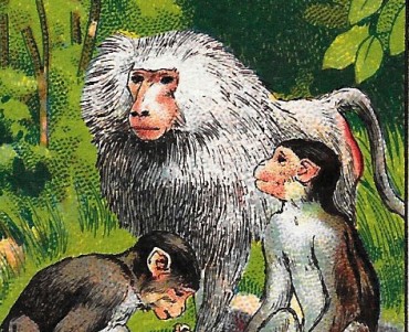 Images Cafés Gilbert (01)