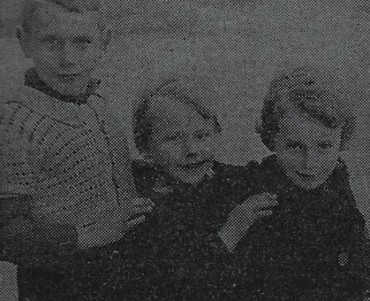 27894.jpg