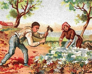 Images Alcide Picard (04)