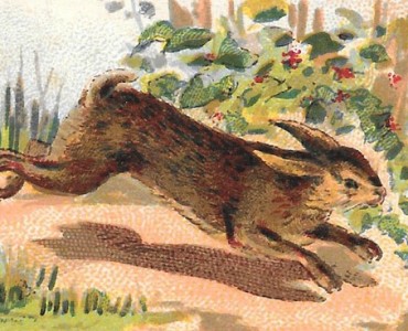 Images H et Cie Edit (03)