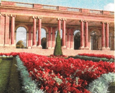 Buvards Reinette (03)