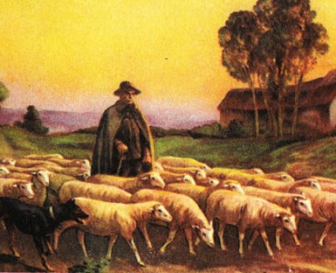 Buvards Sanal (03)