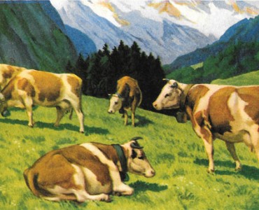 Buvard Rhum du Nègre