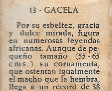 30870.jpg