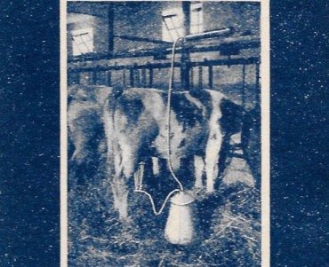 31045.jpg