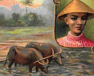 Images Poulain (023)