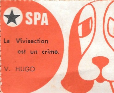 Pub SPA