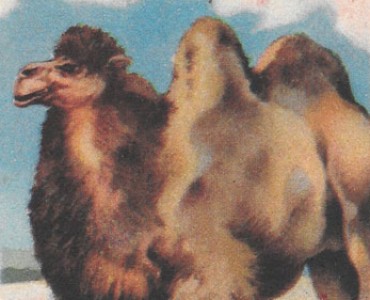 31992.jpg