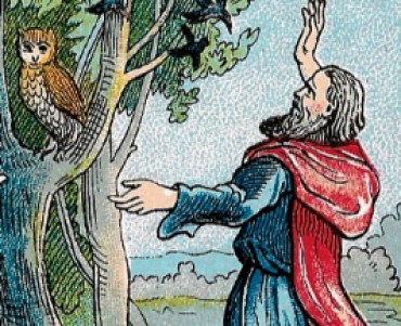 Images Caisse d'Epargne (01)