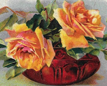 Images Librairie d'Education Nationale (10)