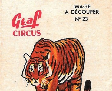 32526.jpg