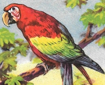 Images Blécao  (01)