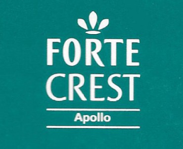 Boite d'allumettes Forte Crest Apollo