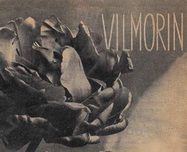 Notice Vilmorin (02)
