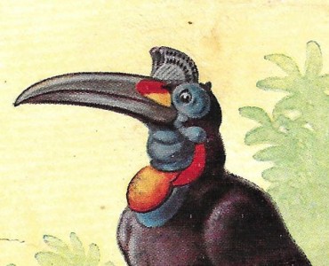 33848.jpg
