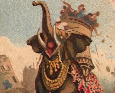 Images Poulain (034)