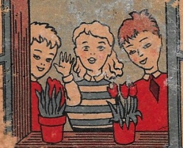 3417.jpg