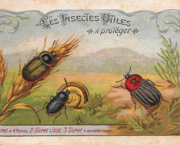 Image neutre (121)