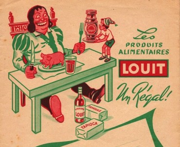 Protège-cahier Louit