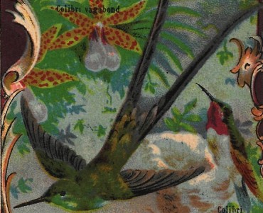 Image neutre (122)