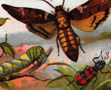 Image neutre (125)