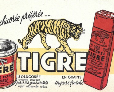 Buvard Chicorée Tigre