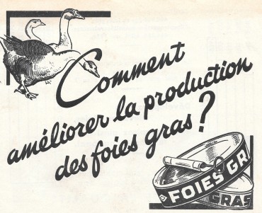 Notice Améliorer la production des foies gras