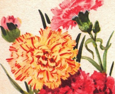 Buvard Magdeleine (11)