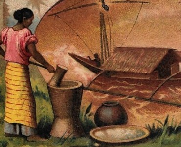 Images Poulain (045)