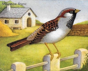 37880.jpg