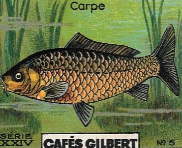 Images Cafés Gilbert (24)