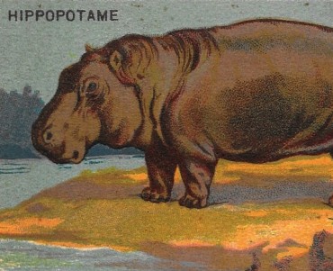 4553.jpg