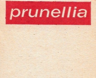 458.jpg