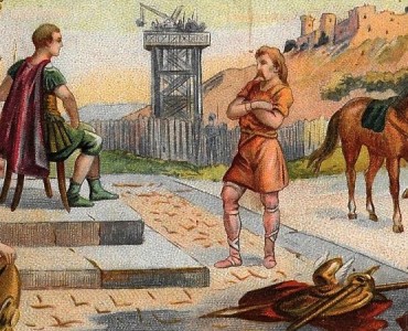 Images Chicorée du Brésilien C Beriot
