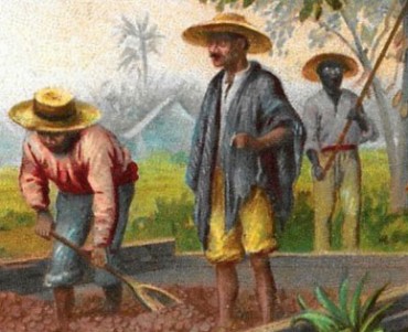 Images neutres (016)