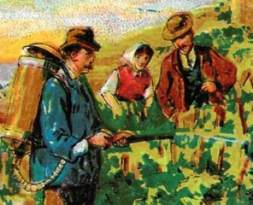 Image neutre (021)