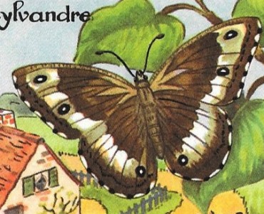 Images Editions Educatives (10)