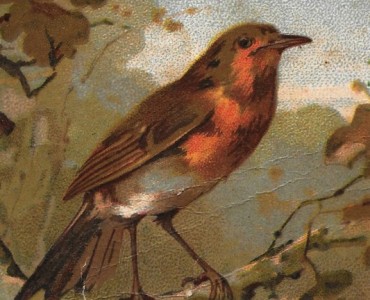 5973.jpg