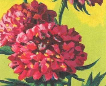 Images Blédine  (03)