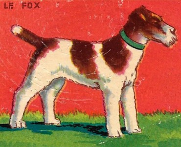 6256.jpg