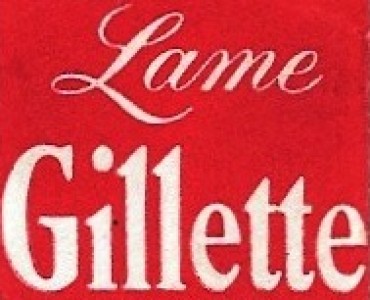 Lame de rasoir Gillette (04)