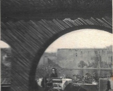 7250.jpg