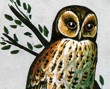 Images Rogé Cavaillès