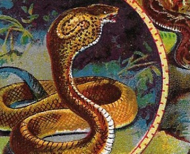 8452.jpg