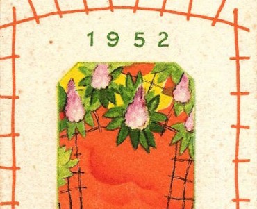 8578.jpg