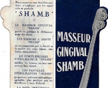 Signet Shamb