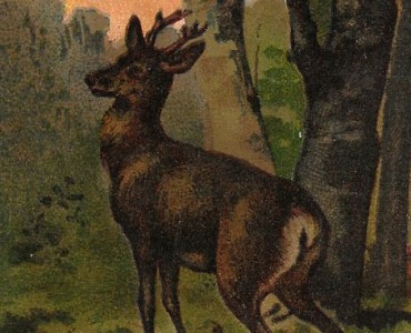 Images Blédine (08)