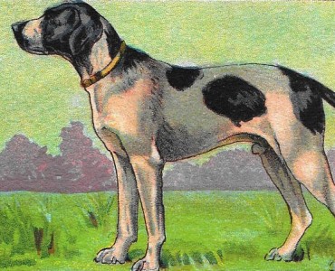 Images Blédine (09)