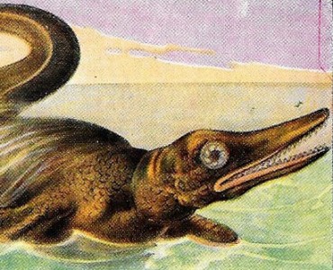 Images Deschiens (04)